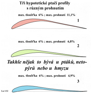 2 3 hypotetické ptačí profily