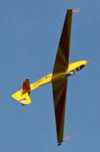 Luňák L-107