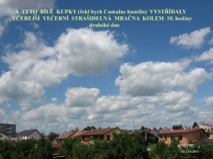 Cumulus humilis