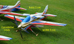 F3A model T-can I + T-can II