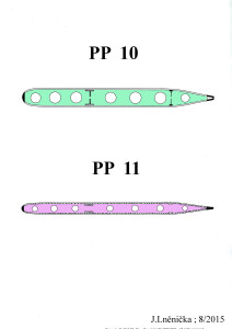 10.  PP 10 a PP 11